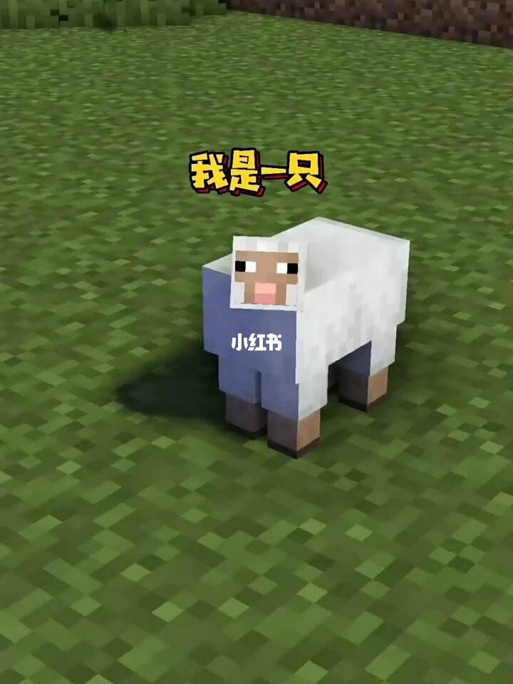 羊单机游戏(有一款小羊的游戏)